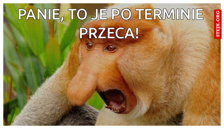 Panie, to je po terminie przeca! 