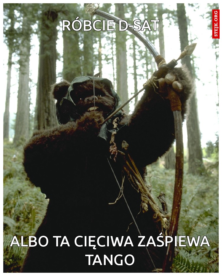 róbcie D-sat