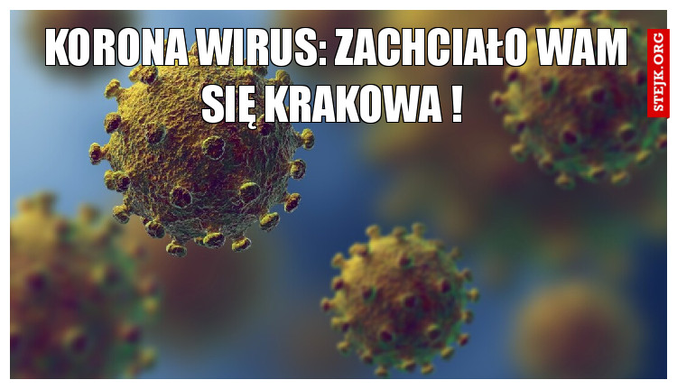 kORONA WIRUS: zACHCIAŁO WAM SIĘ KRAKOWA ! 