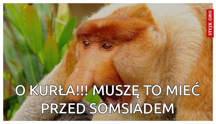 O kurła!!! Muszę to mieć przed somsiadem