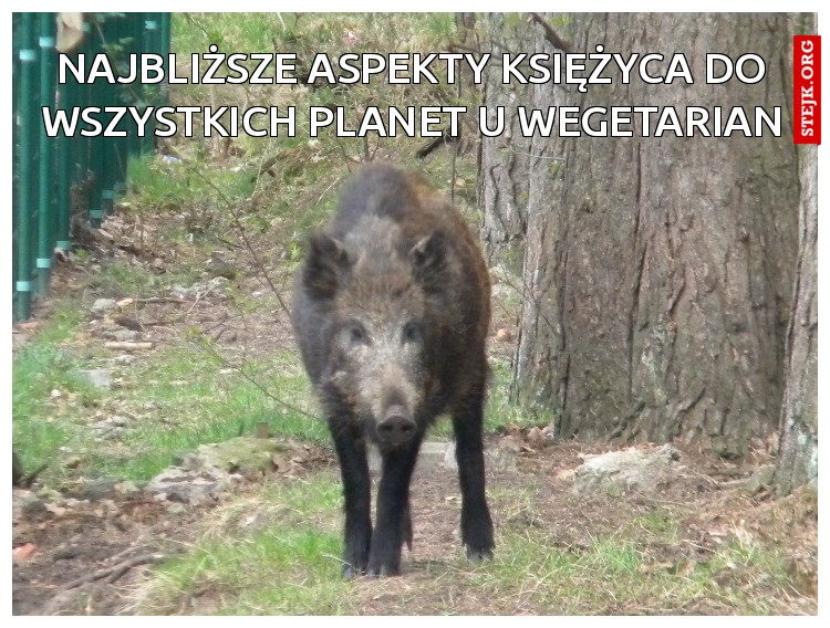 najbliższe aspekty Księżyca do wszystkich planet u wegetarian