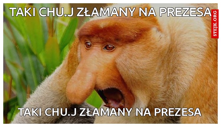 taki chu.j złamany na prezesa 