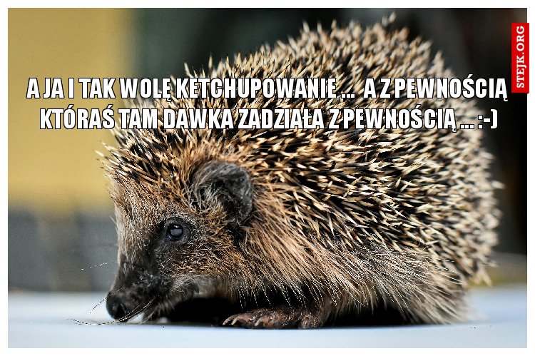 a ja i tak wolę ketchupowanie :-)