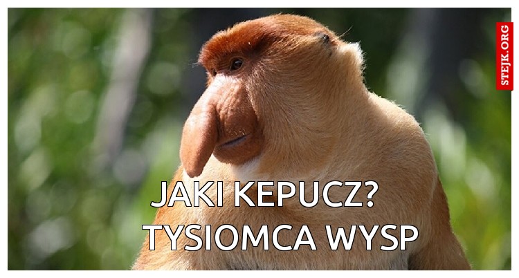Jaki kepucz? 
