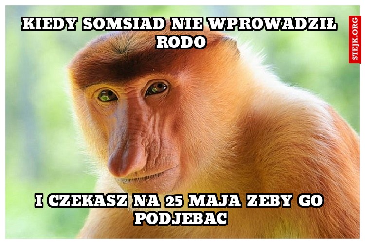 KIEdy somsiad nie wprowadził RODO