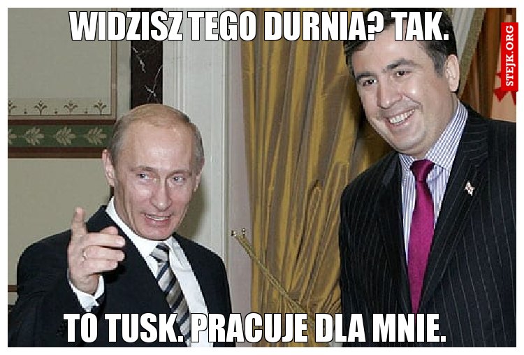 Widzisz tego durnia? Tak.