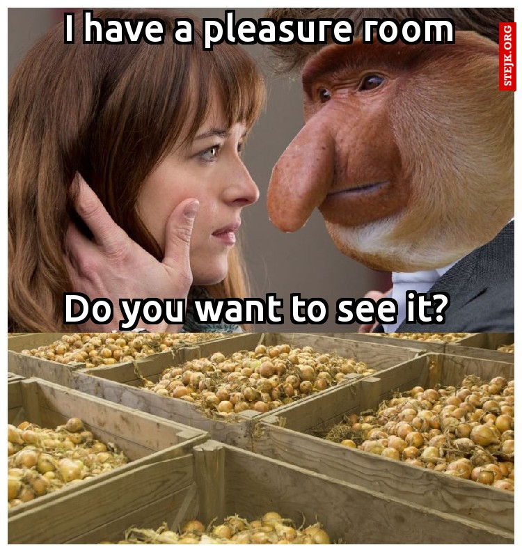 I have a pleasure room