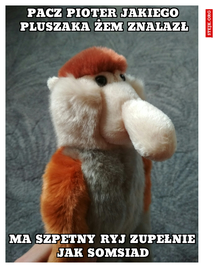pacz pioter jakiego pluszaka żem znalazł