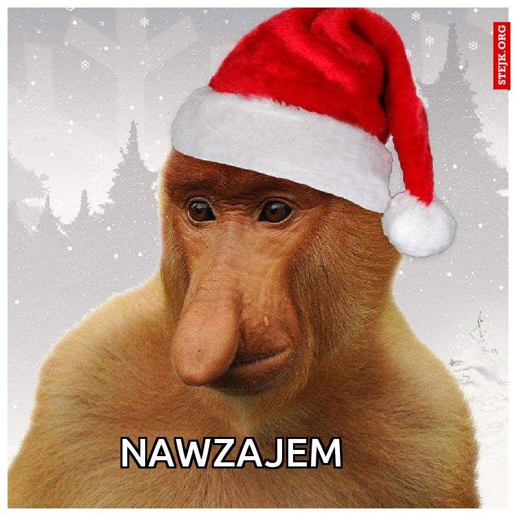 Nawzajem 