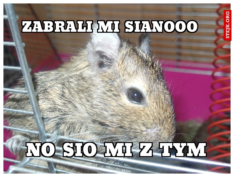zabrali mi sianooo