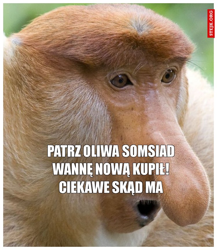Patrz Oliwa somsiad wannę robi w ogrodzie