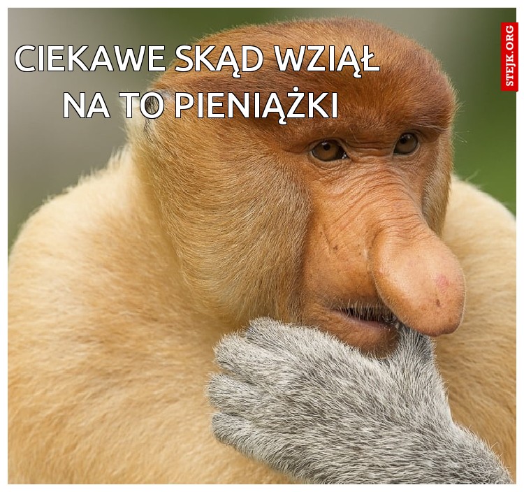 CIEKAWE SKĄD WZIĄŁ