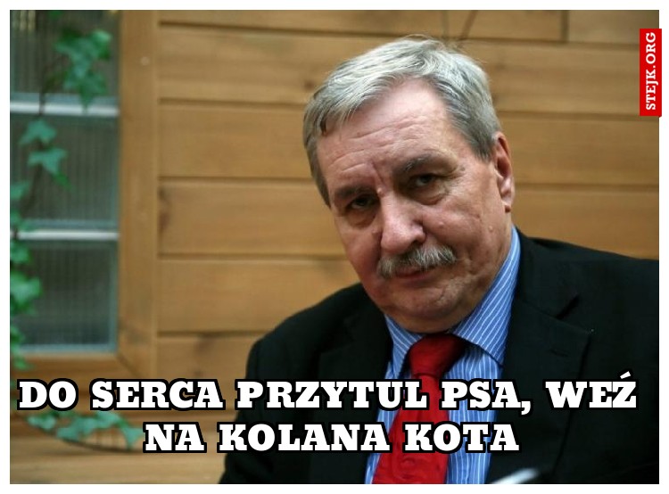 DO serca przytul psa, weź na kolana kota