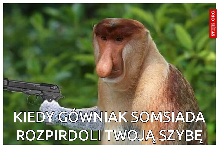 Kiedy gówniak somsiada rozpirdoli twoją szybę