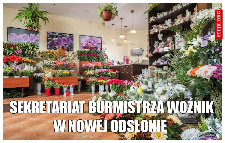 Sekretariat burmistrza Woźnik w nowej odsłonie 