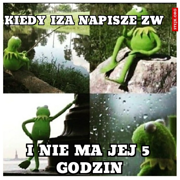 Kiedy Iza napisze ZW