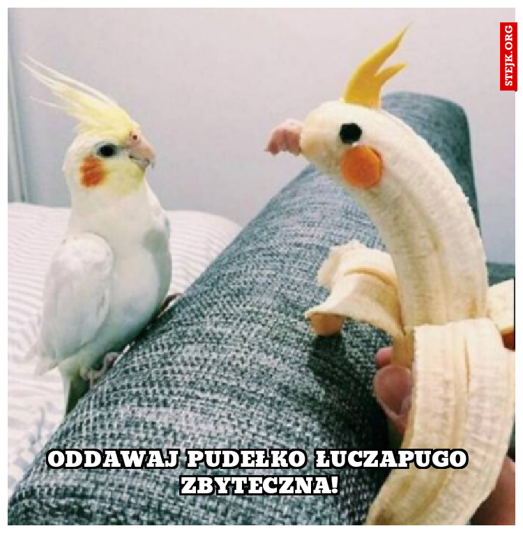 ODDAWAJ PUDEŁKO ŁUCZAPUGO ZBYTECZNA!
