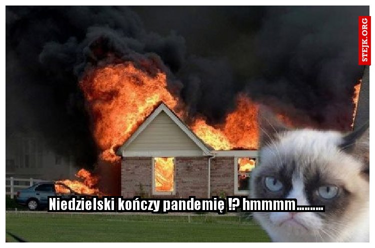 Niedzielski : jestem jak cezar i jednym gestem zakończyłem pandemię