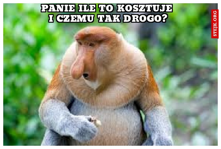 PANIE ILE TO KOSZTUJE