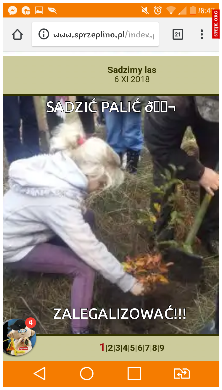 Sadzić palić palić
