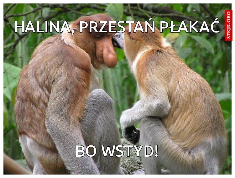 Halina, Przestań płakać