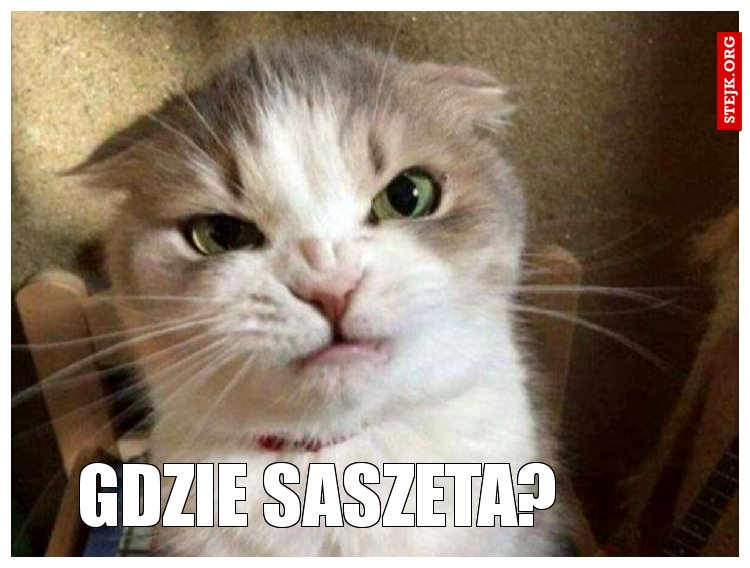 GDZIE SASZETA?