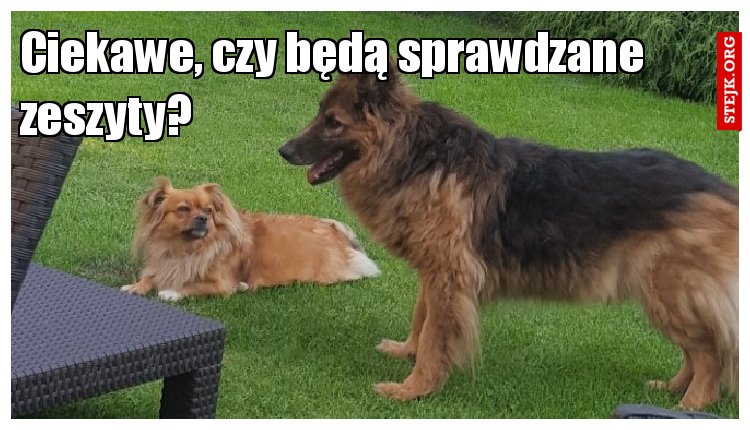 Podobno wracamy do szkoły...