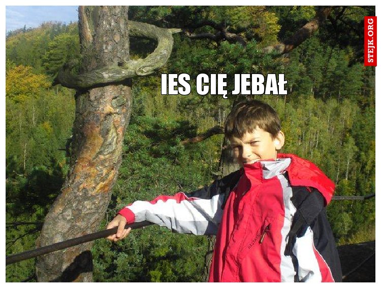 Ies Cię jebał