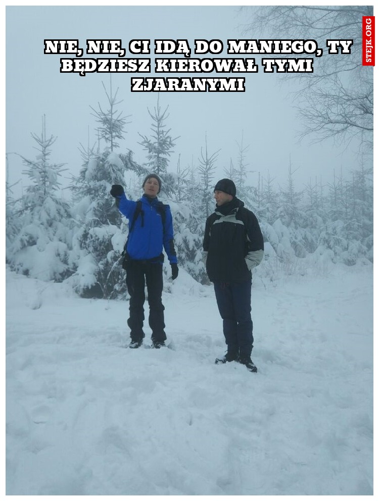     nie, nie, ci idą do Maniego, ty będziesz kierował tymi zjaranymi