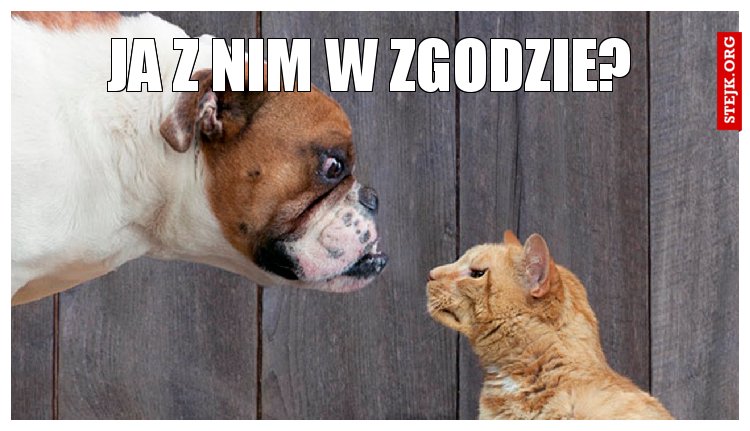 Ja z nim w zgodzie?