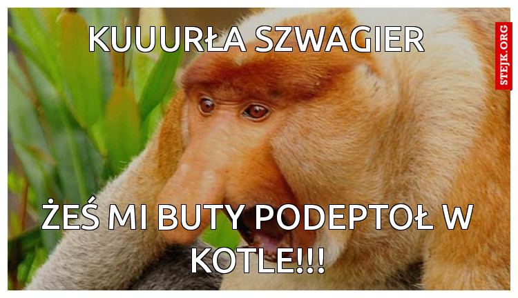 KUUURŁA SZWAGIER 