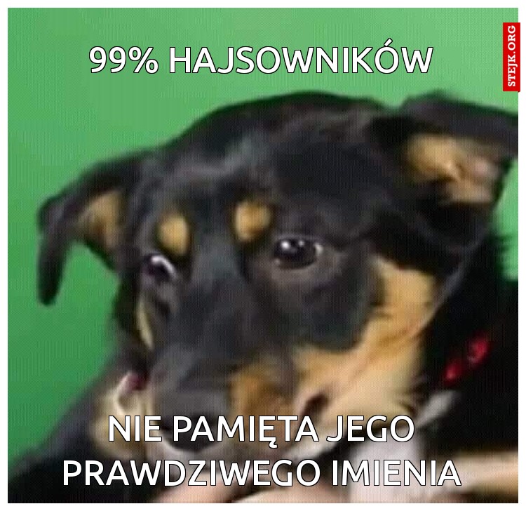 99% hajsowników