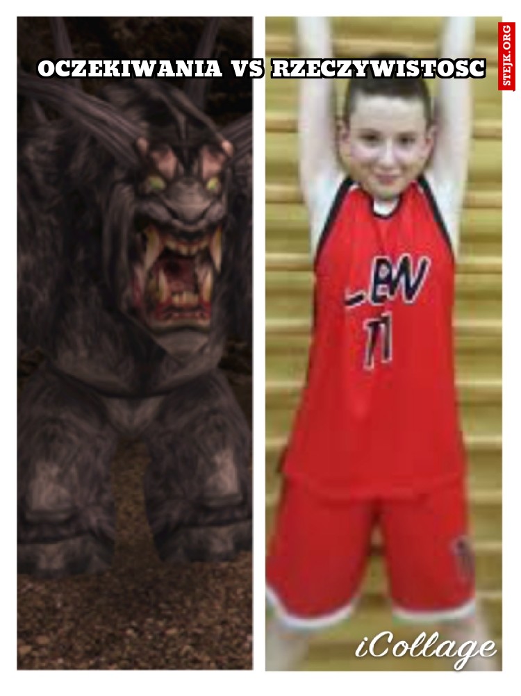Oczekiwania vs rzeczywistosc