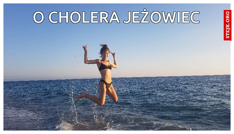 O cholera Jeżowiec