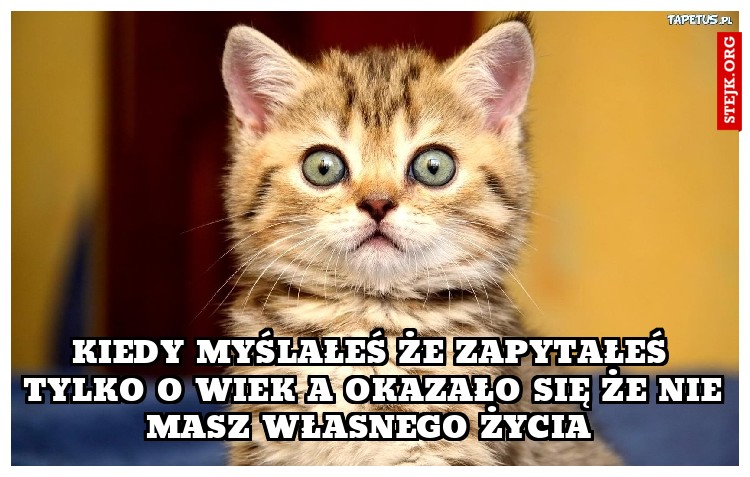 Mam w dupie co kto zrozumiał. Co kto komu przekłamał. Wiem jak jest naprawdę a reszta to żart!!
