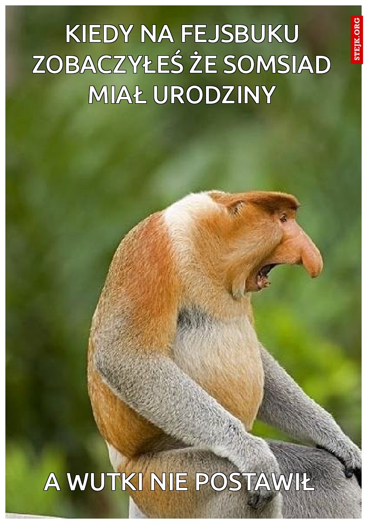 A wutki nie postawił 