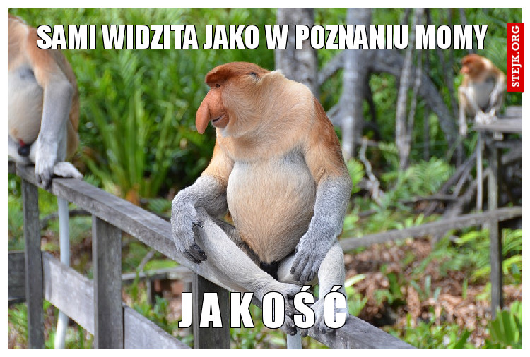 SAMI WIDZITA JAKO W POZNANIU MOMY