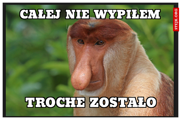 CAŁEJ NIE WYPIŁEM