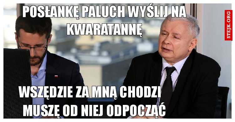 posłankę paluch wyślij na kwaratannę