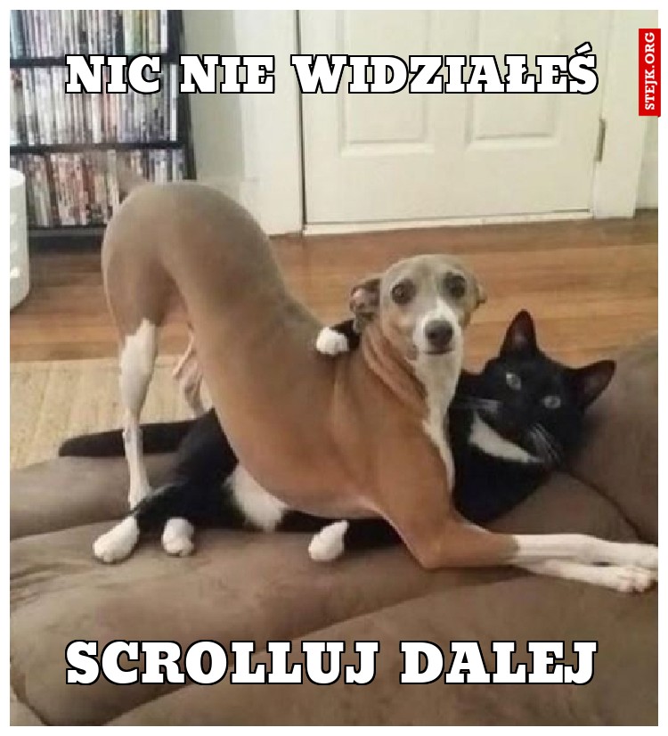 Nic nie widziałeś