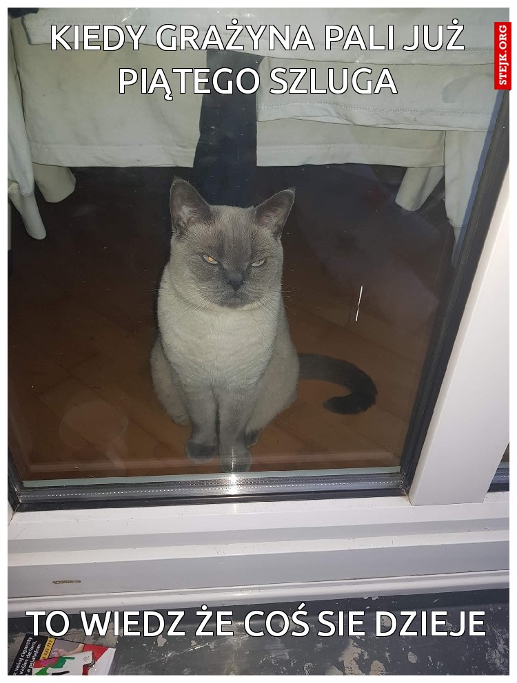 Kiedy Grażyna pali już piątego szluga