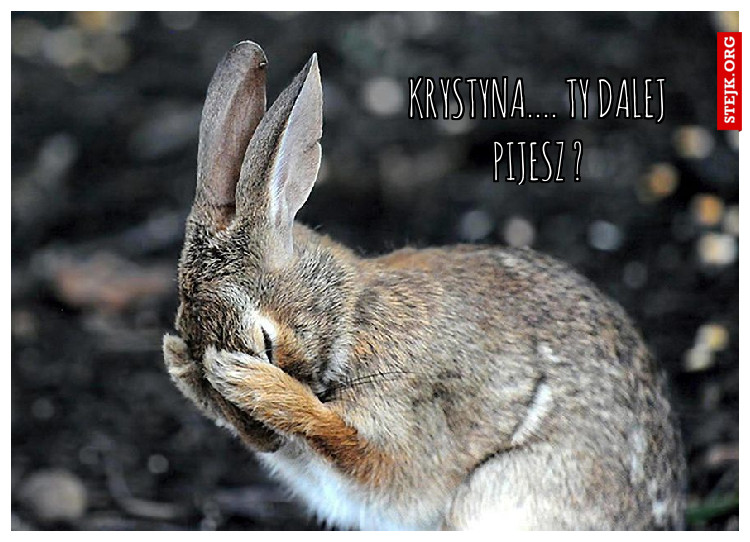 Krystyna.... Ty dalej pijesz ?