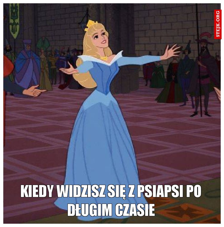 KIEDY WIDZISZ SIĘ Z PSIAPSI PO DŁUGIM CZASIE