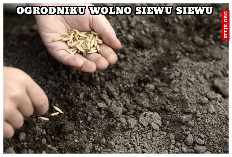 Ogrodniku wolno siewu siewu