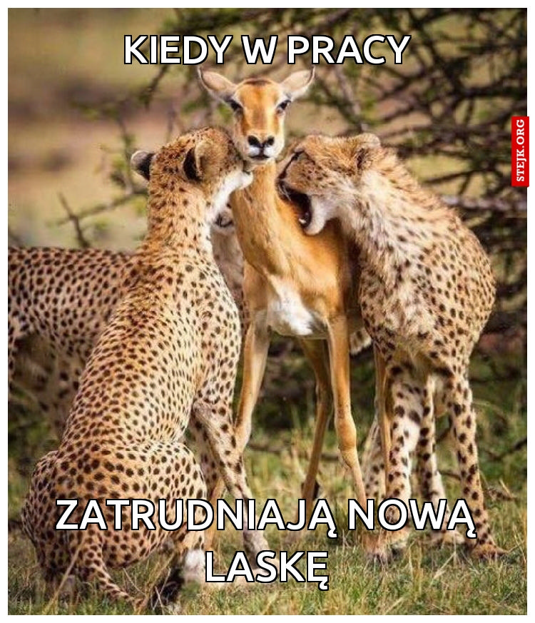 Kiedy w pracy