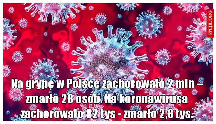 Na grypę w Polsce zachorowało 2 mln – zmarło 28 osób. Na koronawirusa zachorowało 82 tys - zmarło 2,8 tys.