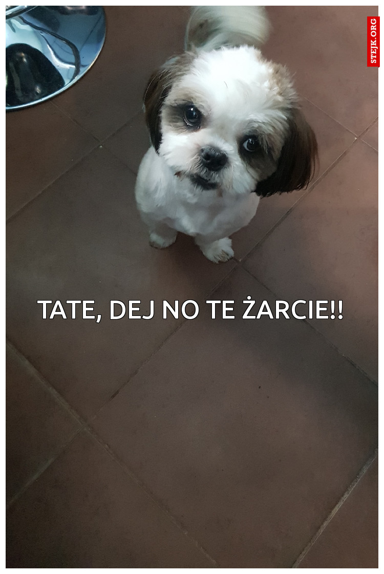 Tate, dej no te żarcie!!