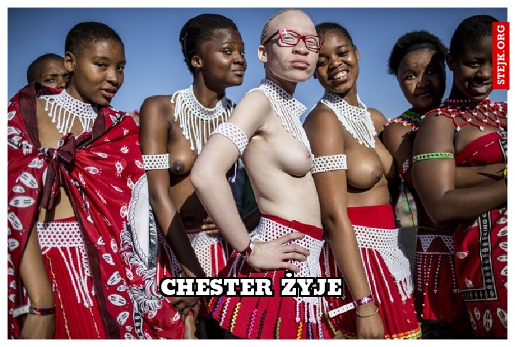 chester żyje 