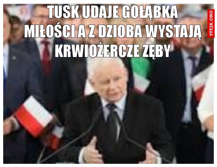 Tusk udaje Gołąbka miłości a z dzioba wystają krwiożercze zęby