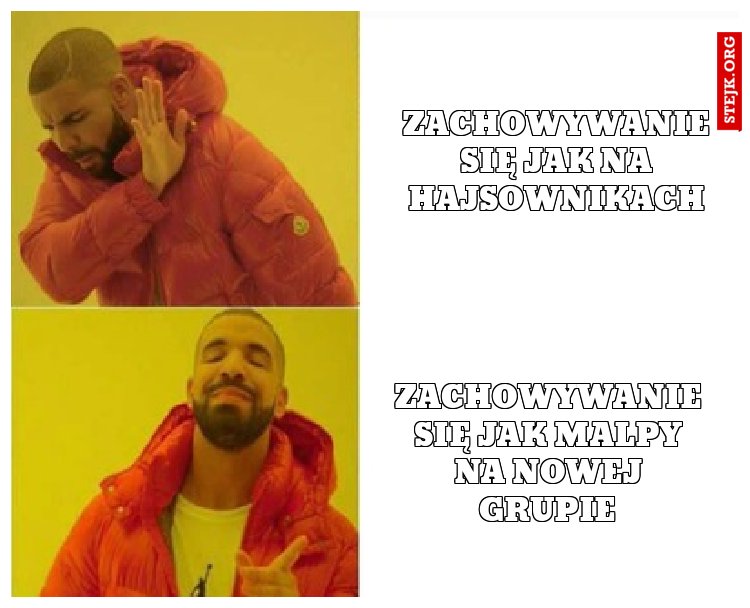 Zachowywanie się jak na Hajsownikach